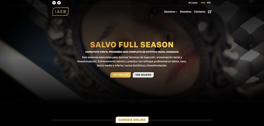 Vista previa del proyecto web IAER